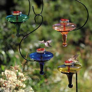 Blossom Hummingbird Feeder