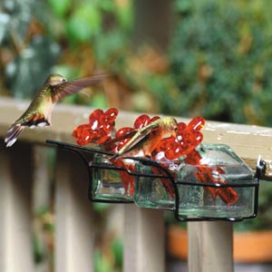 Flower Box Hummingbird Feeder