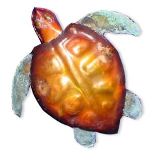 Copper Sea Turtle